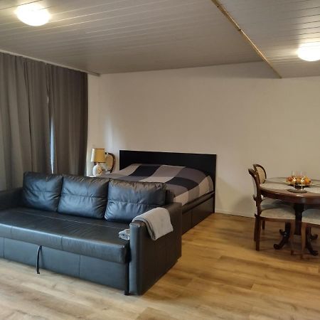 Spacieux Studio 38M2 Les Paccots 外观 照片