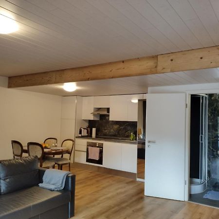 Spacieux Studio 38M2 Les Paccots 外观 照片
