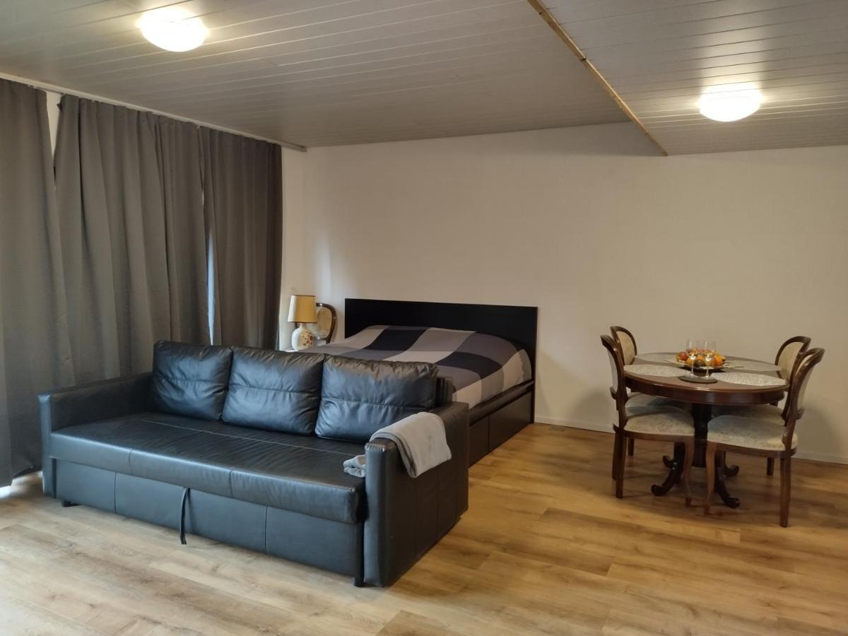 Spacieux Studio 38M2 Les Paccots 外观 照片