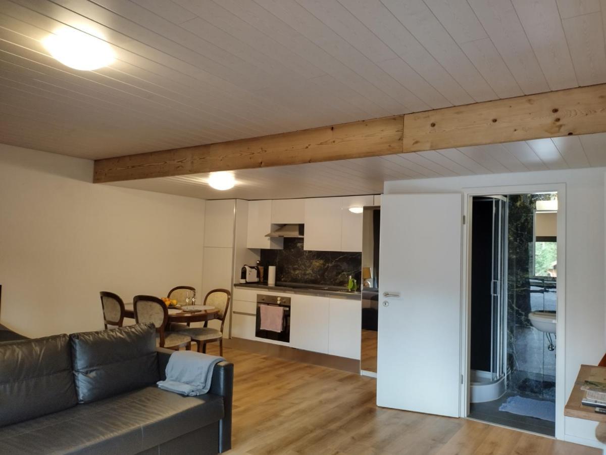 Spacieux Studio 38M2 Les Paccots 外观 照片