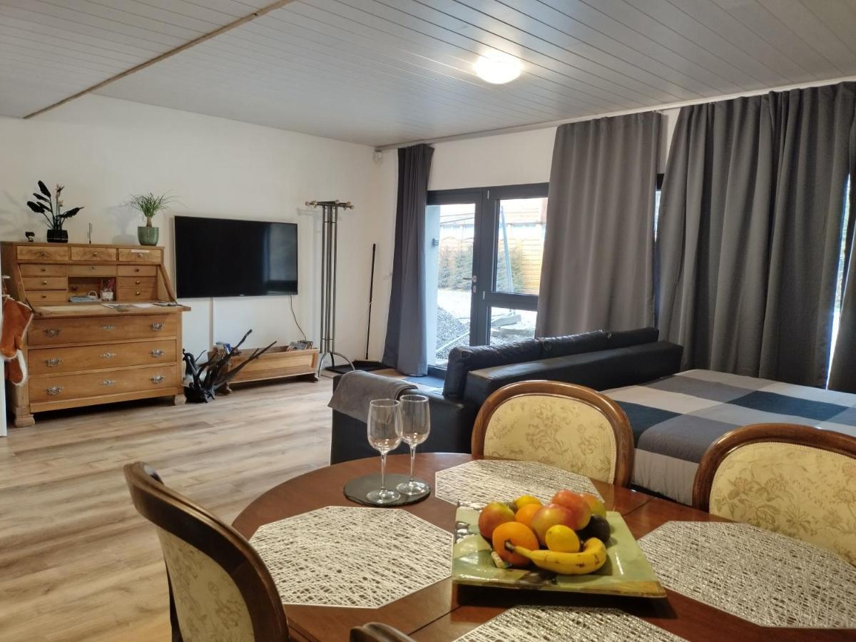Spacieux Studio 38M2 Les Paccots 外观 照片