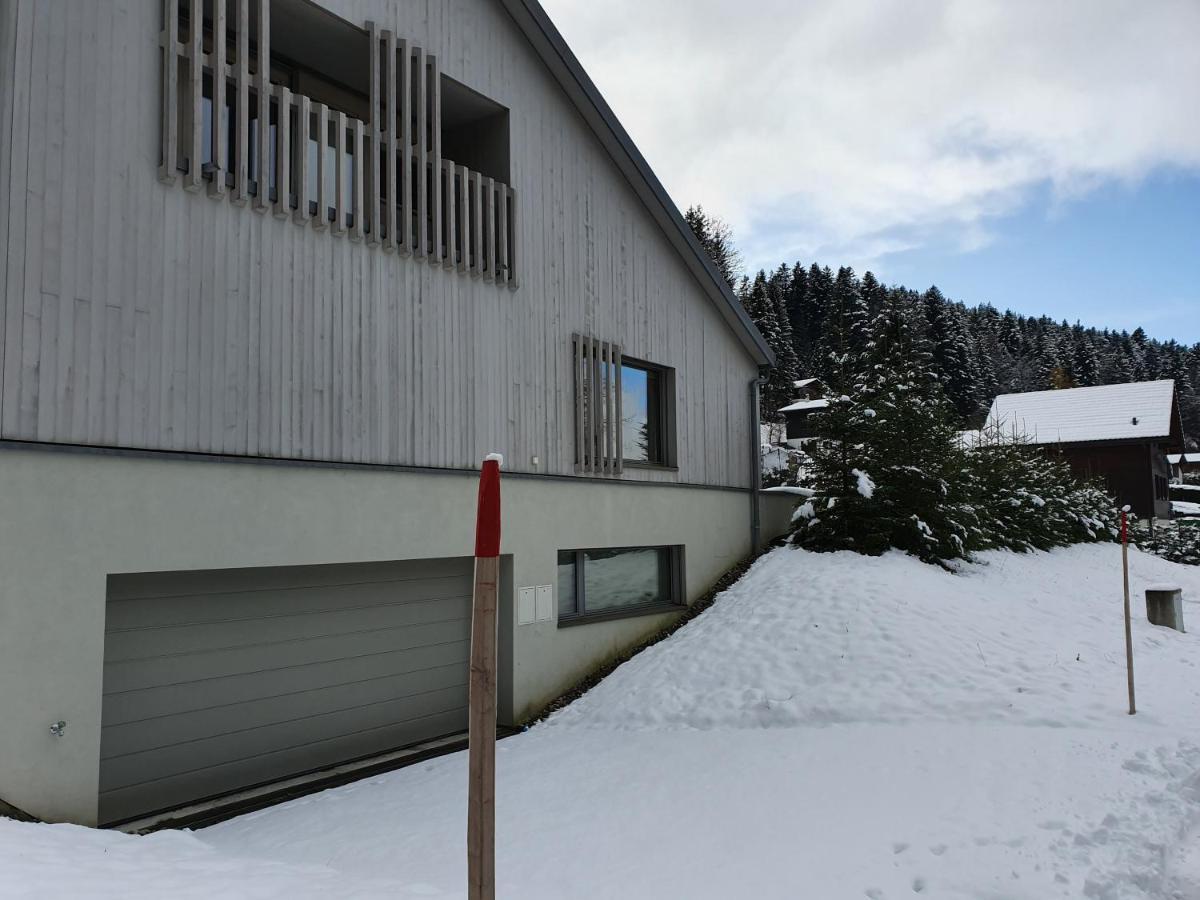 Spacieux Studio 38M2 Les Paccots 外观 照片