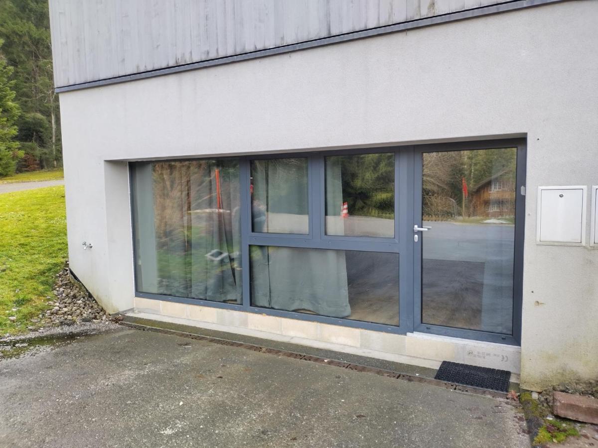 Spacieux Studio 38M2 Les Paccots 外观 照片