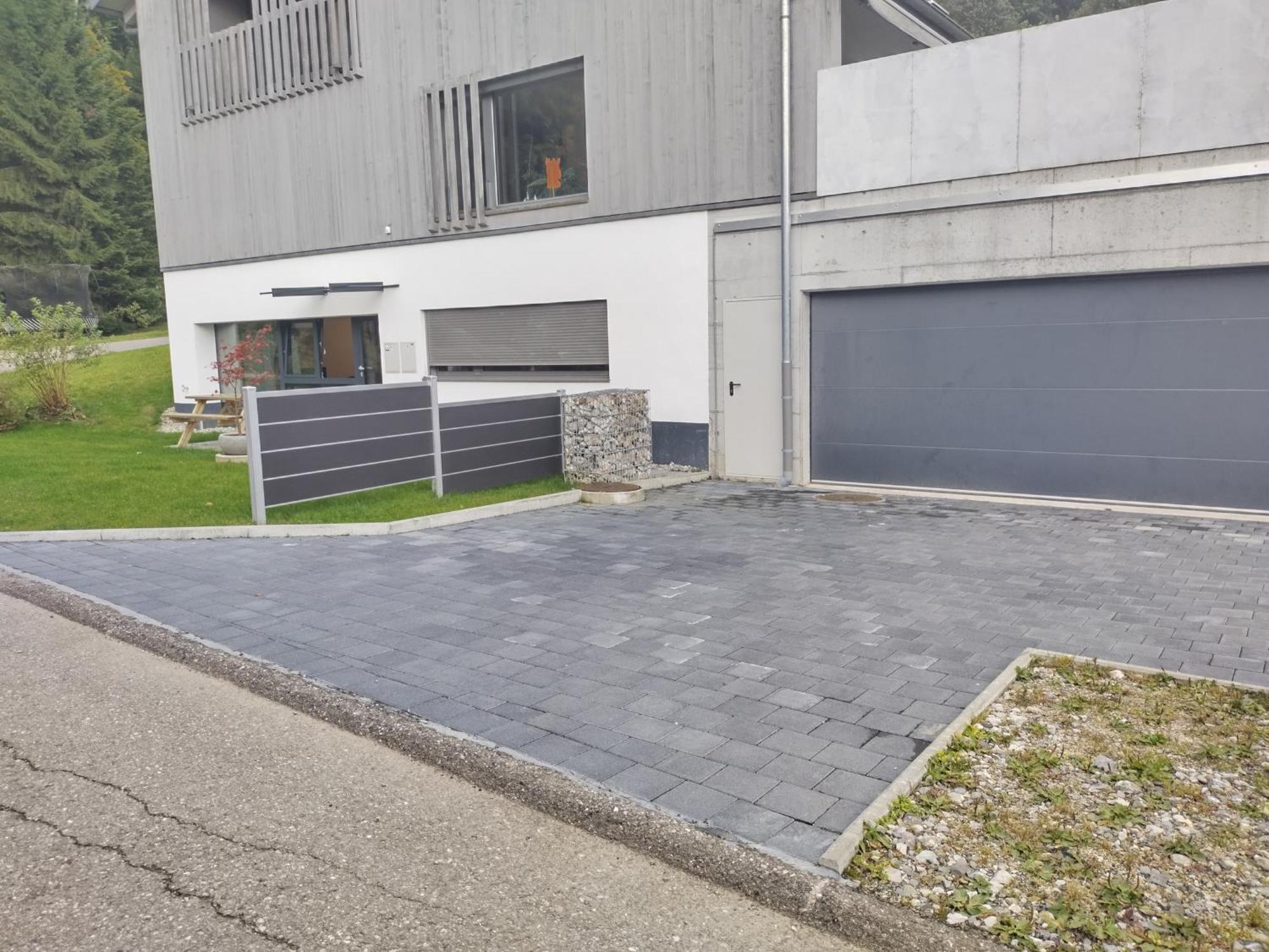 Spacieux Studio 38M2 Les Paccots 外观 照片